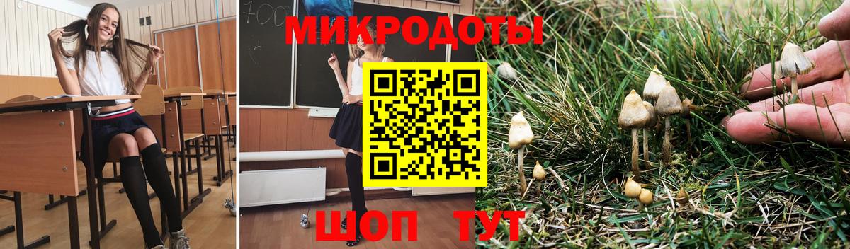Галлюциногенные грибы прущие грибы  Вход с VPN  Галлюциногенные грибы MAGIC MUSHROOMS  Бор 